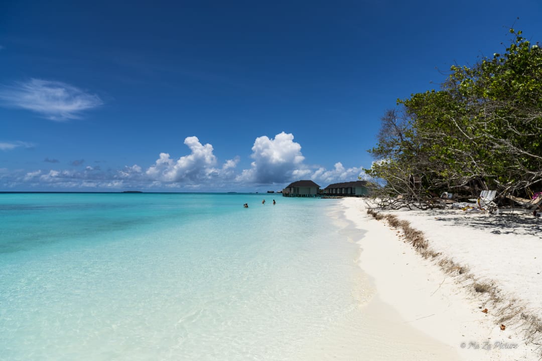 Strand Summer Island Maldives