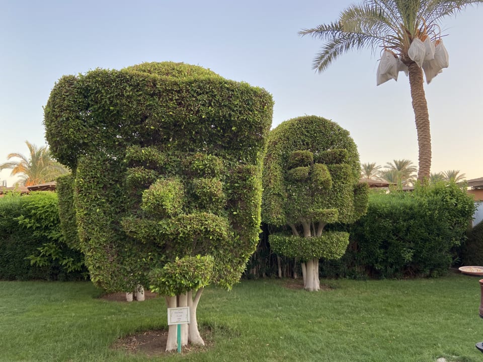Gartenanlage Golden Beach Resort