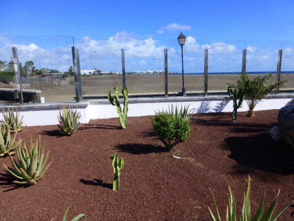 Blick von der Terrasse auf den Strand Hotel Las Costas