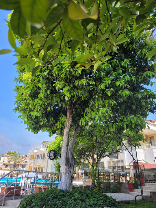 Gartenanlage Tu Casa Gelidonya Hotel