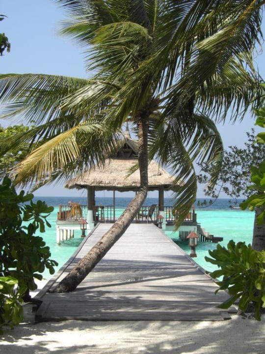 Steg mit Palme Banyan Tree Vabbinfaru