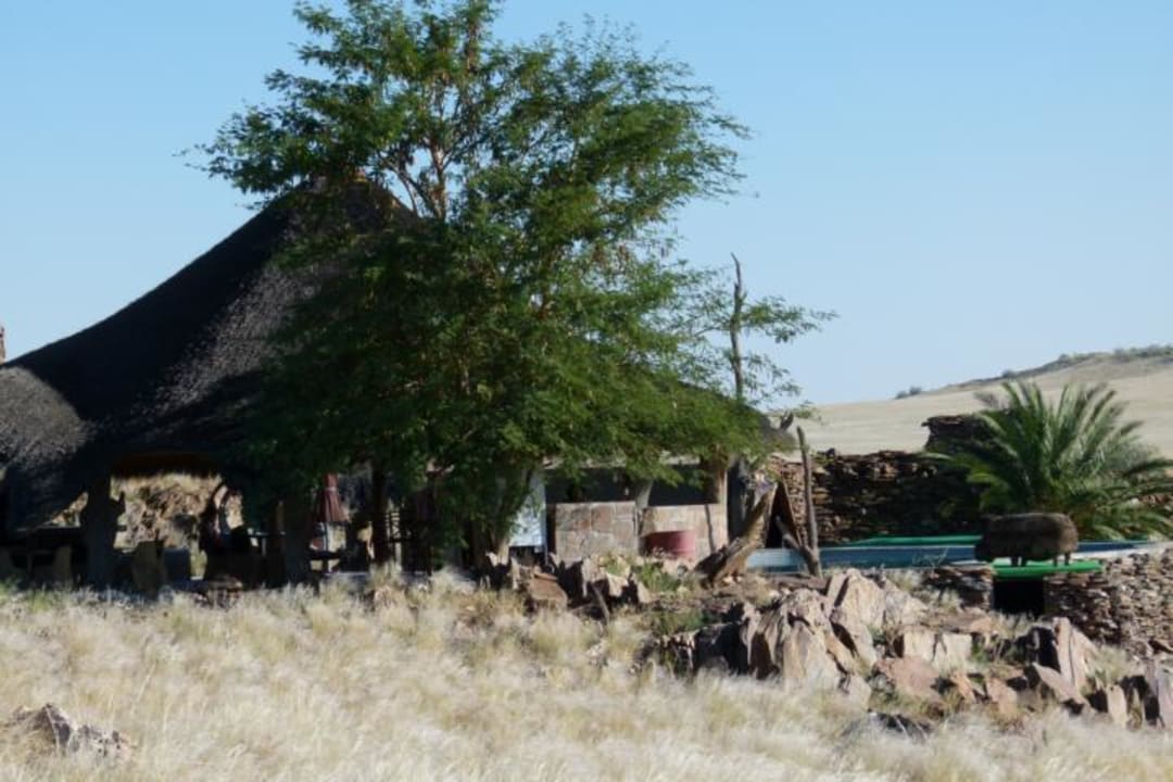 Pool Hotel Rostock Ritz