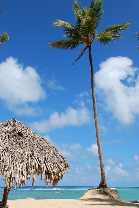 Zima Grand Sirenis Punta Cana Resort & Aquagames