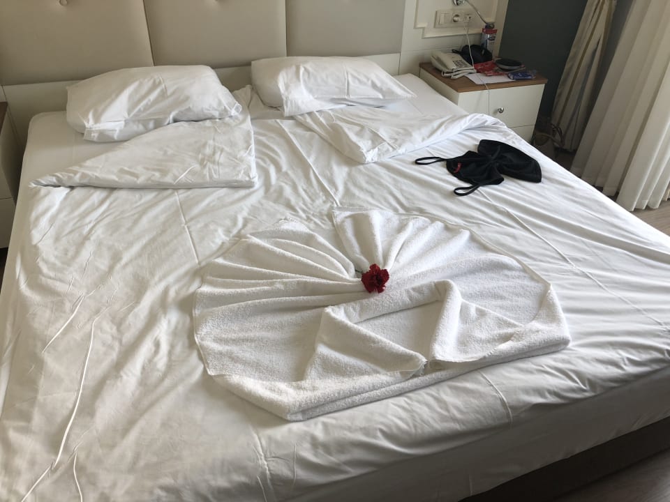 Zimmer Well Palace Side