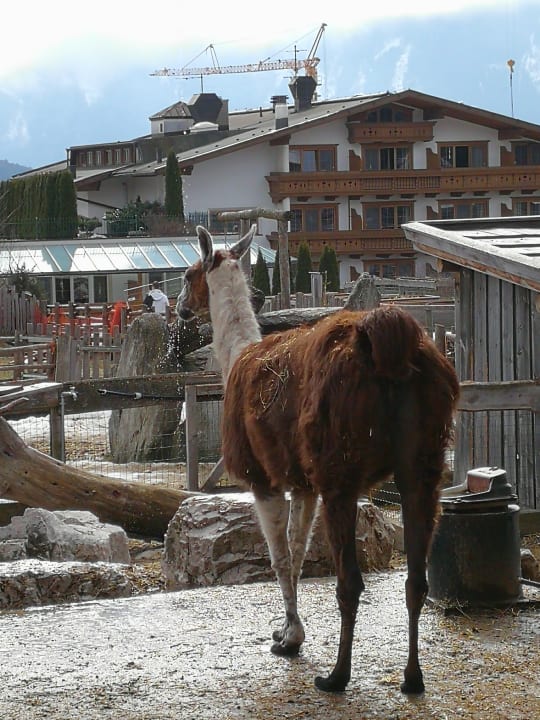 Gartenanlage Alpenresort Schwarz