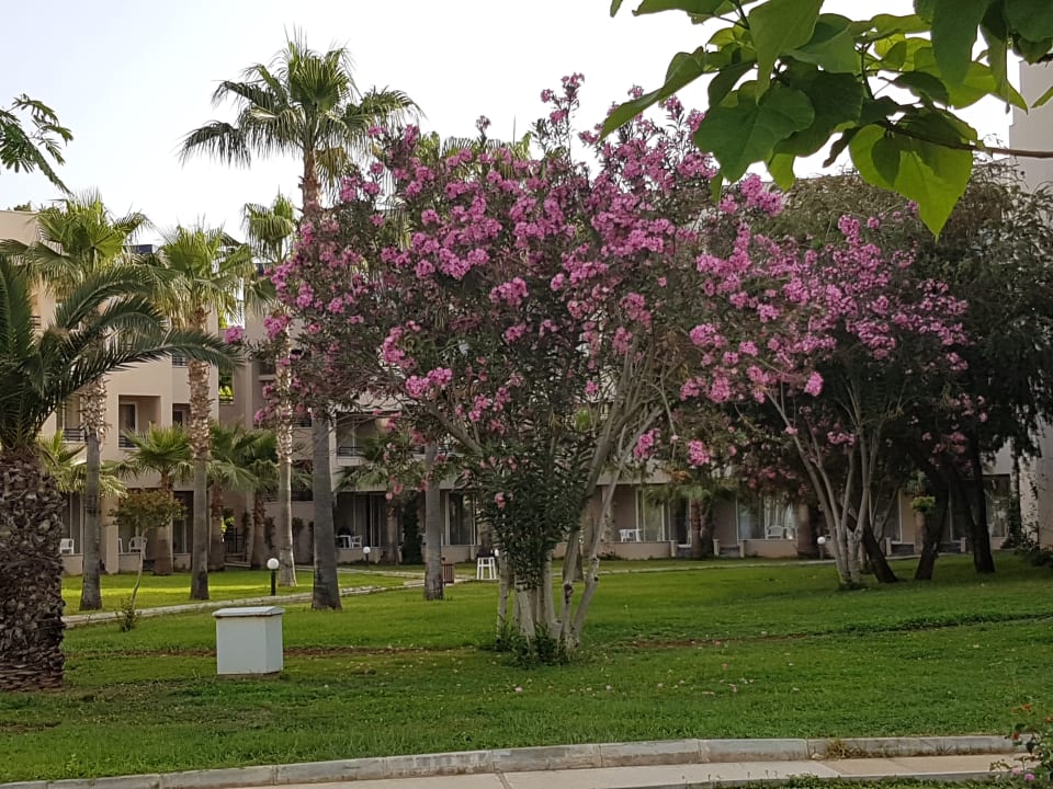 Gartenanlage Labranda Alantur Resort