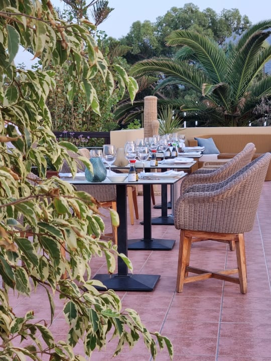 Gastro Pilot Beach Resort