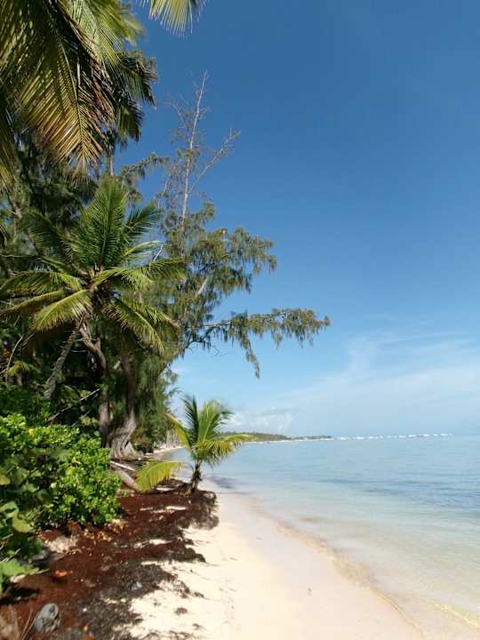 Strand Lopesan Costa Bávaro Resort, Spa & Casino