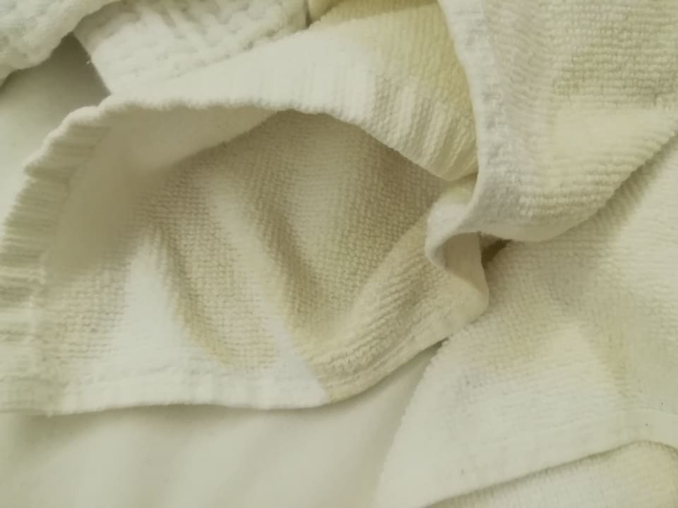 Zimmer Selectum Family Comfort Side