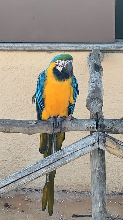 Sonstiges Hipotels Mediterraneo