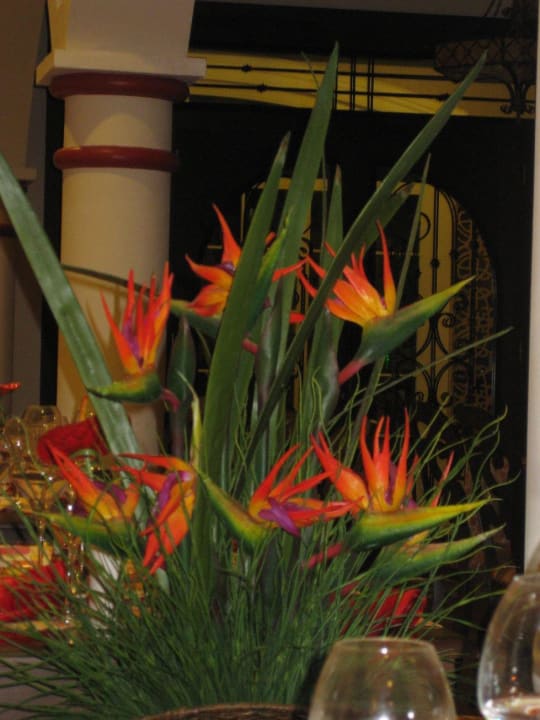 Deko im Mexikanisches Restaurant Diamond Excellence Resort & Spa