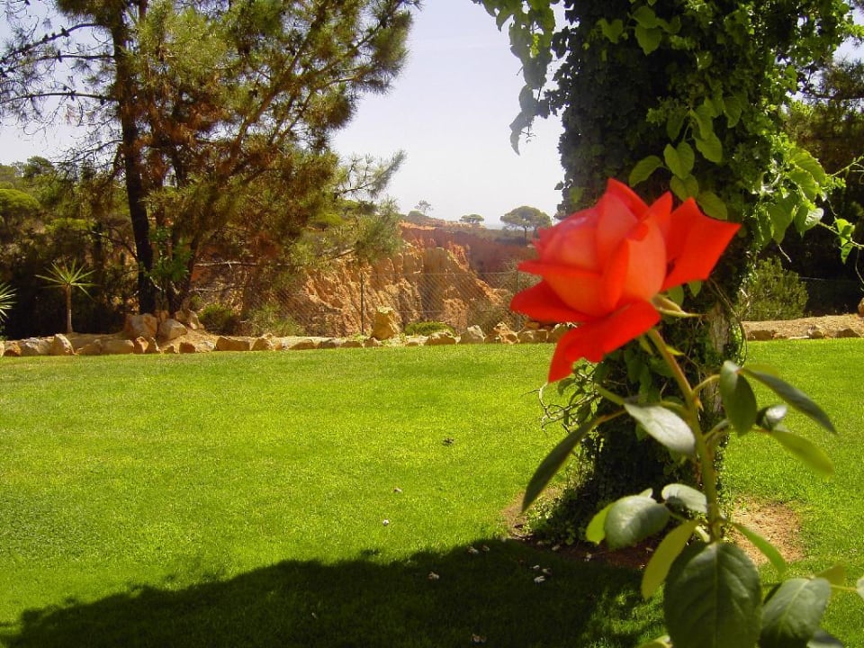 Impressionen PortoBay Falésia