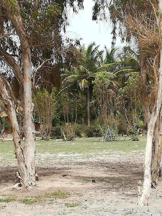 Gartenanlage Campement Nanaay