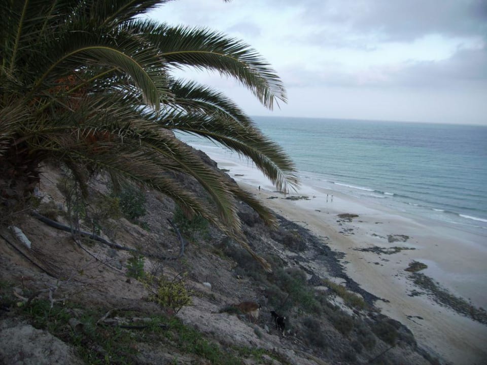 atlantischer Ozean SBH Club Paraiso Playa