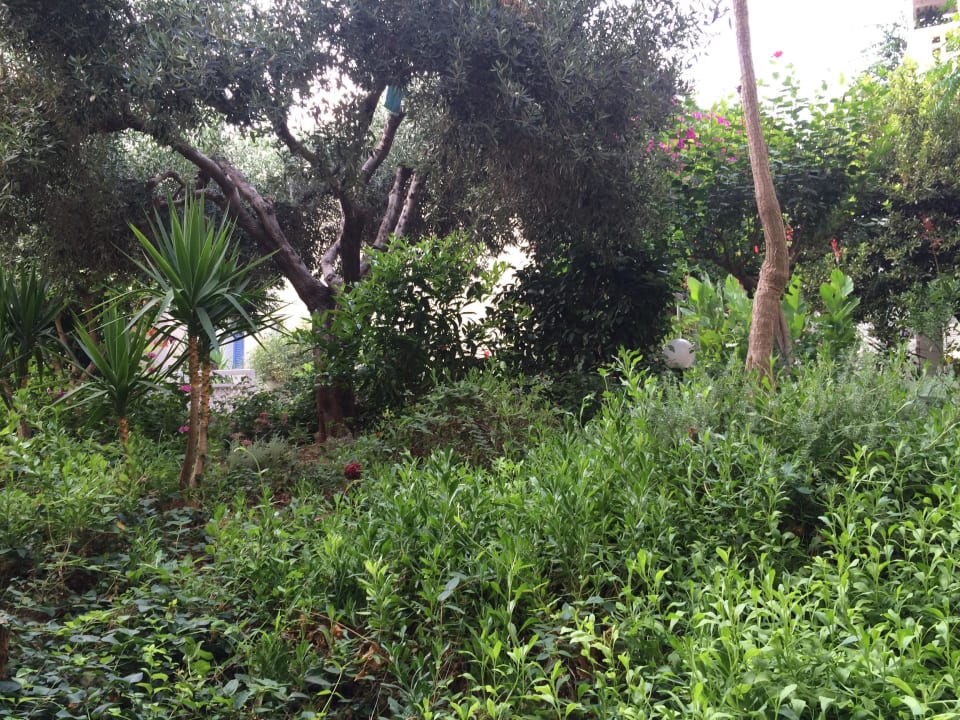 Ausblick Balkon Pearl Beach