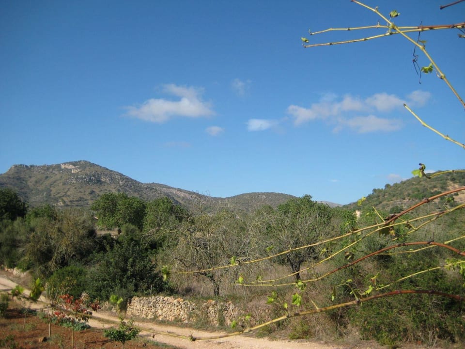 Blick vom Pool aus Ferienhaus Casa d'es Cardassar
