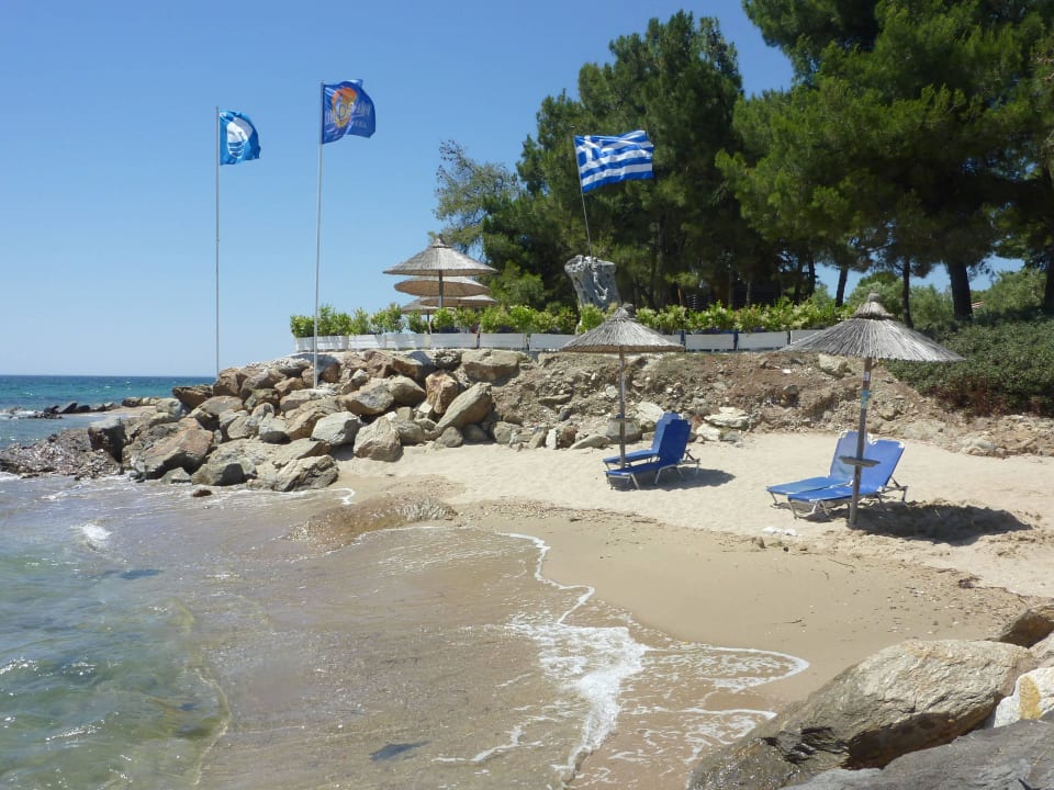 Strand und Beachbar Blue Dolphin Resort Hotel