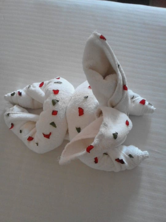 Osterhasy zu früh hatte sich verirrt Jaz Grand Marsa