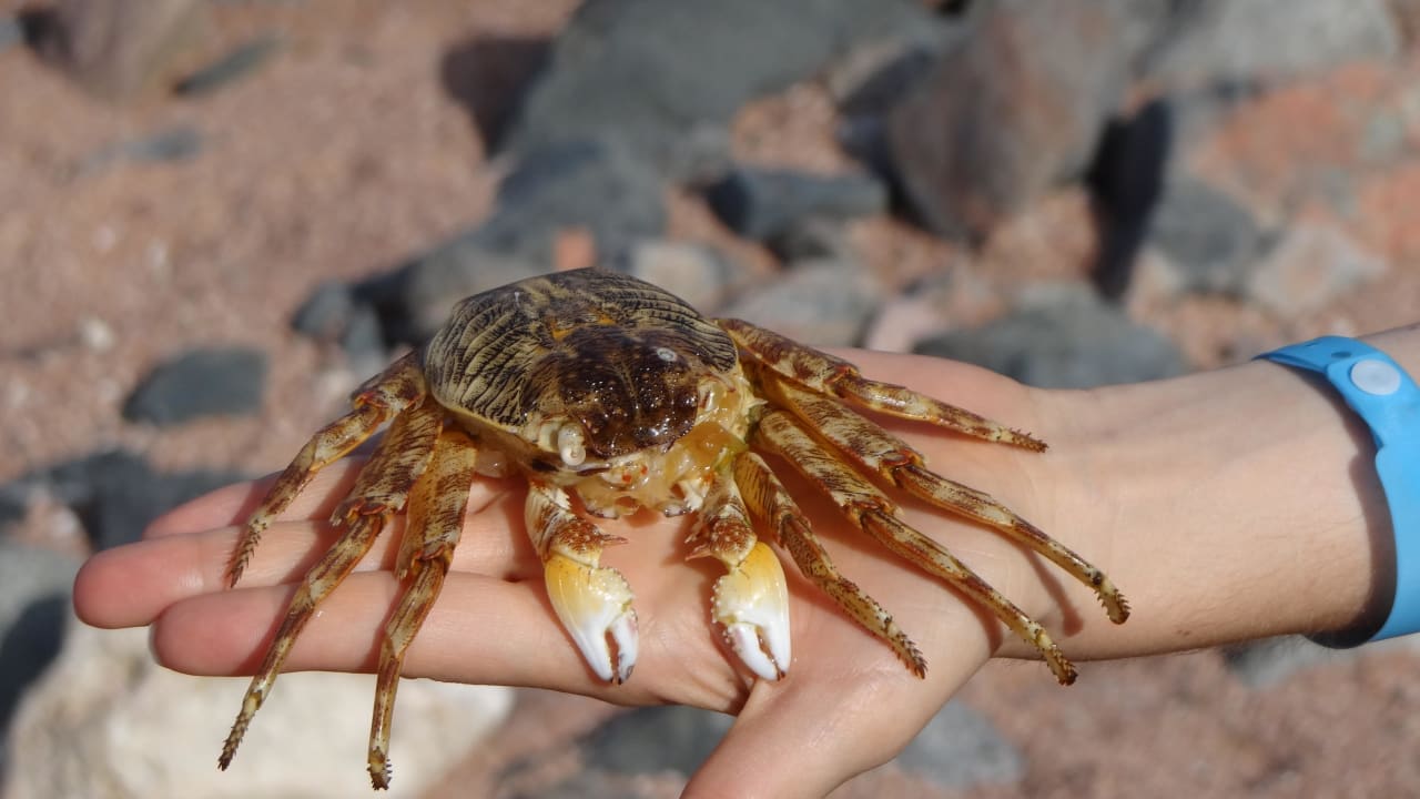 Hotel Happy Life Village Happy Life Village