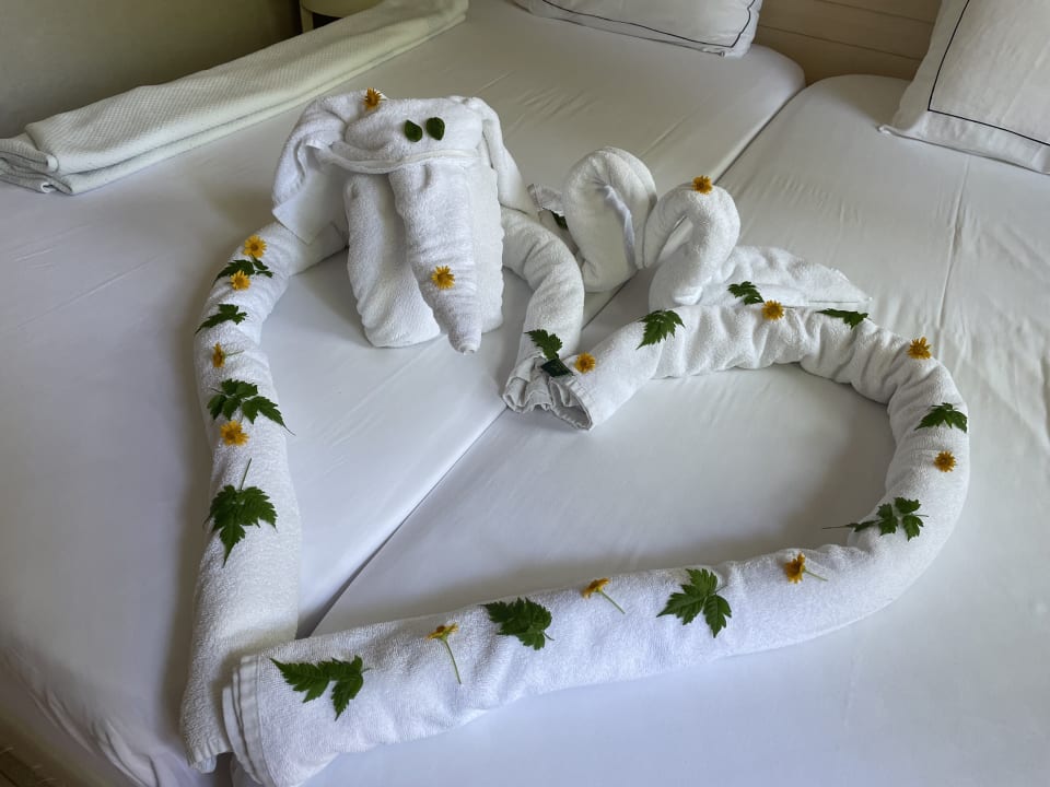 Zimmer Can Garden Beach