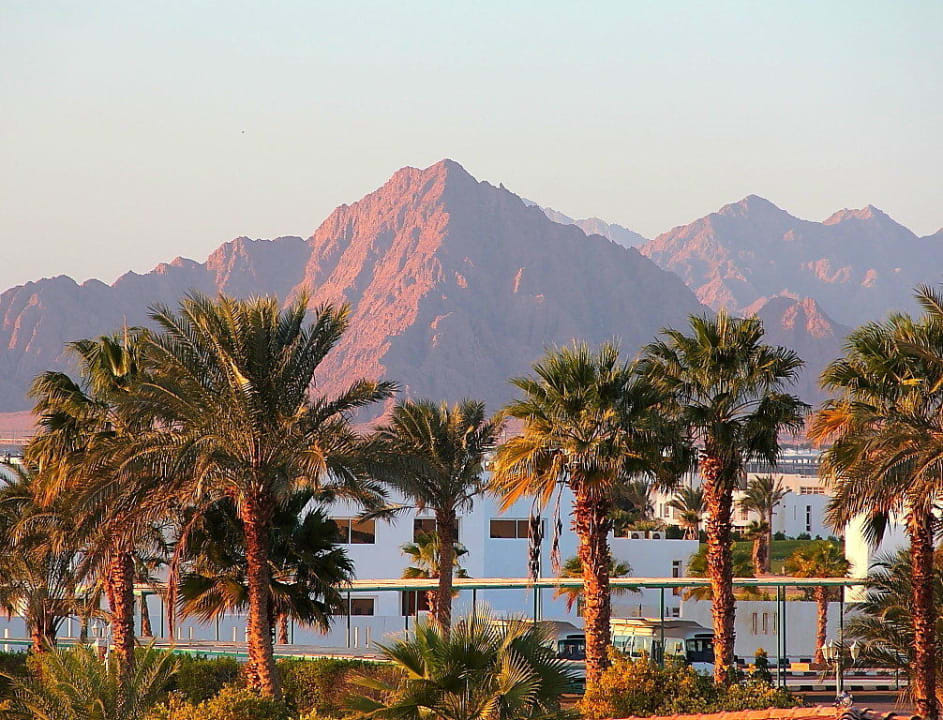 90 Pickalbatros Golf Beach Resort