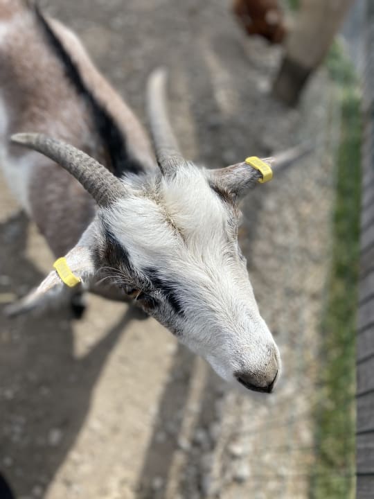 Sport & Freizeit Wiesenberghof