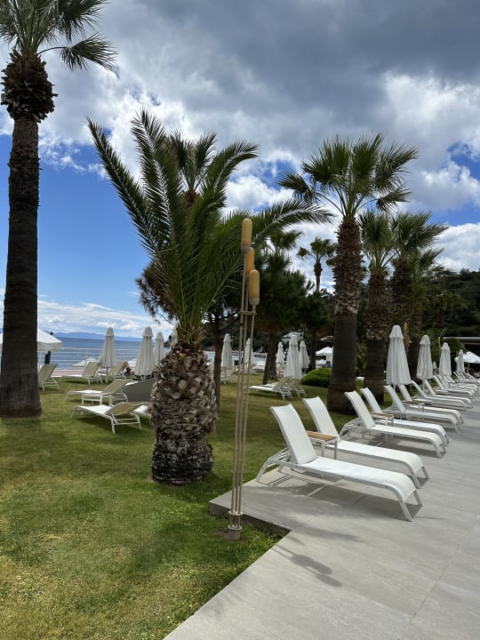 Gartenanlage Paloma Pasha