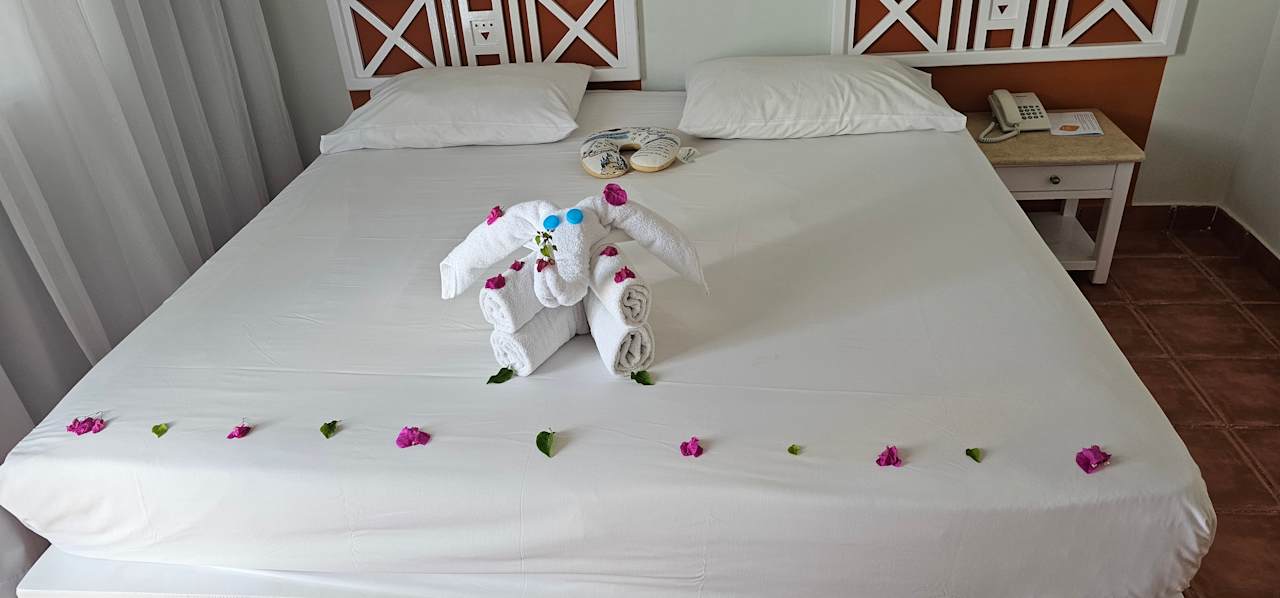 Zimmer JAZ Neo Reef Marsa