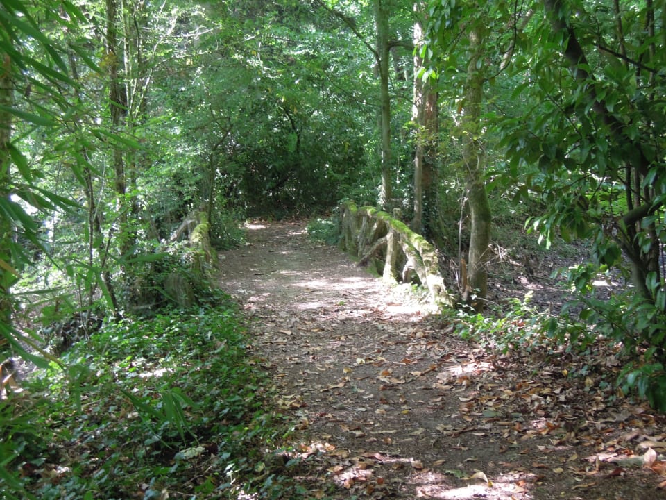 Gartenanlage Hotel Château de Verrières & SPA - Saumur