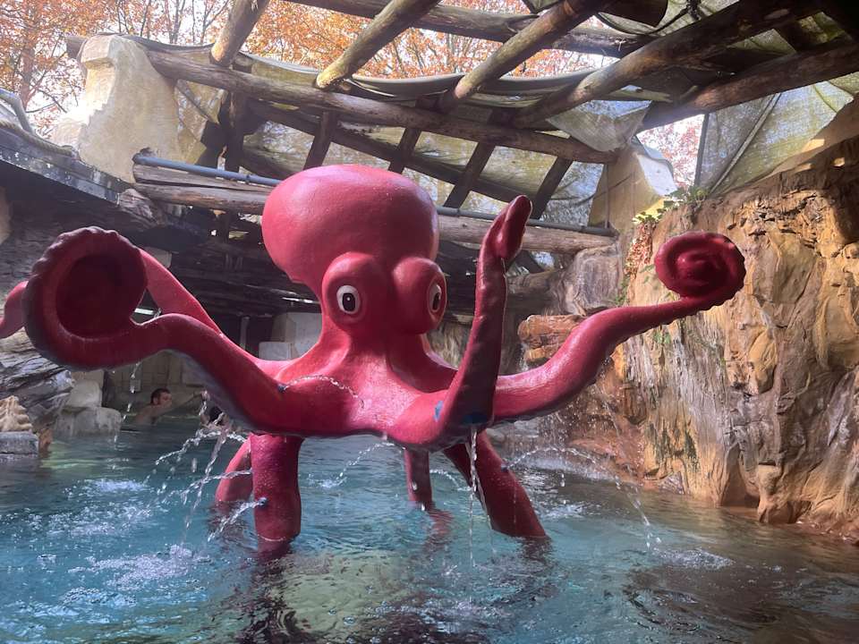 Pool Center Parcs Het Heijderbos