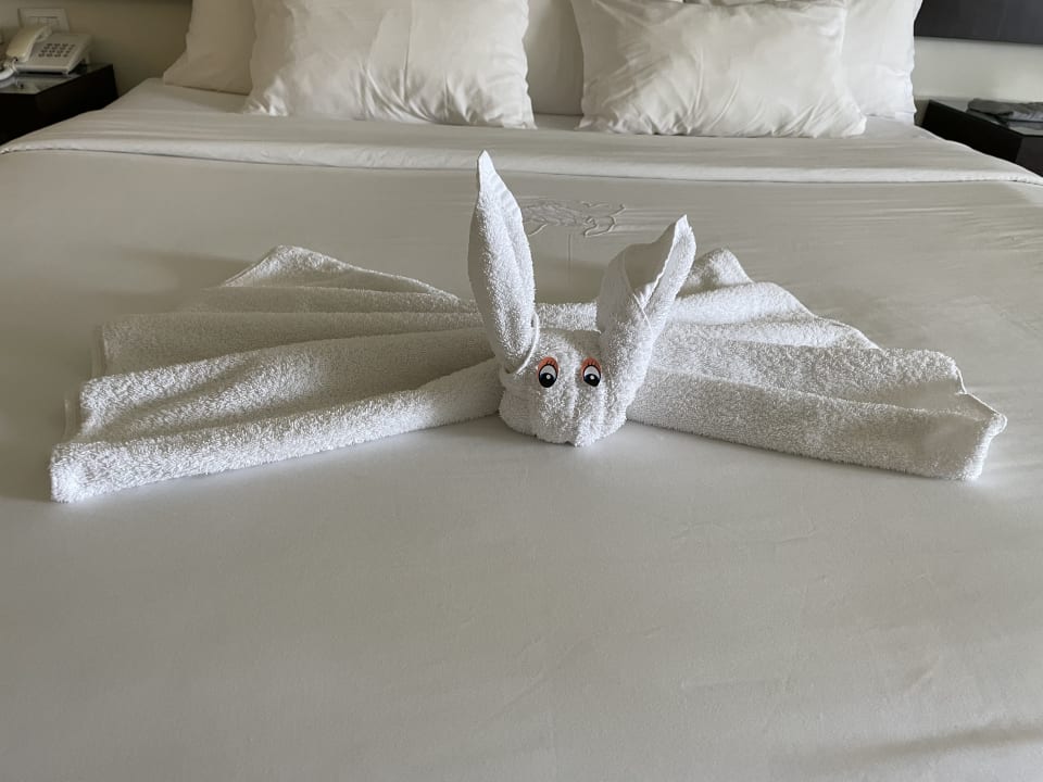 Zimmer Akumal Bay Beach & Wellness Resort