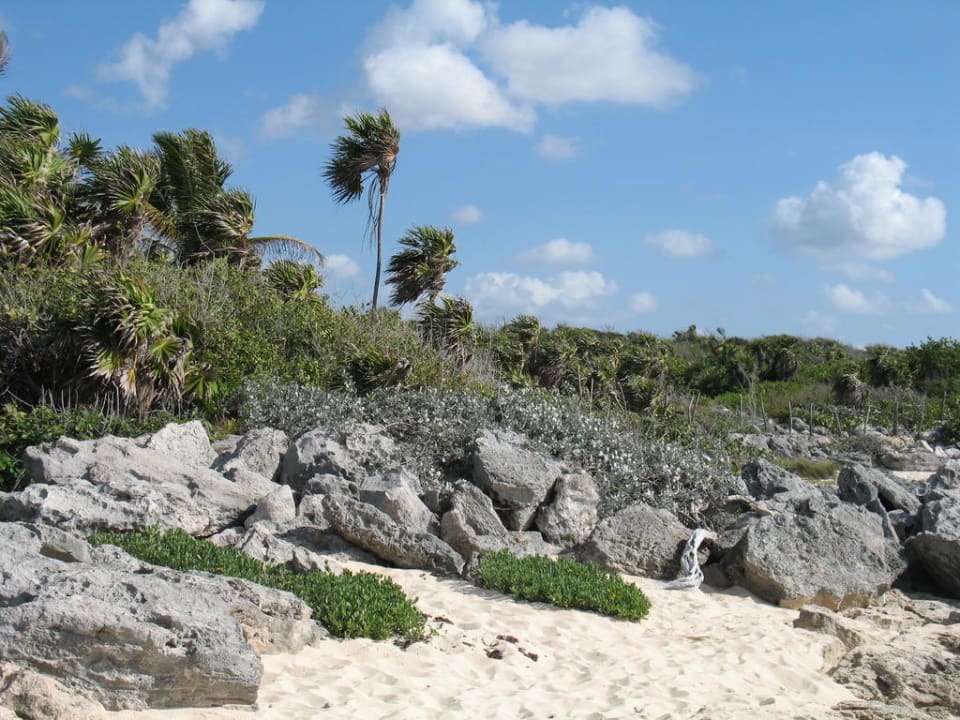 Naturstrand Sandos Playacar Beach Resort