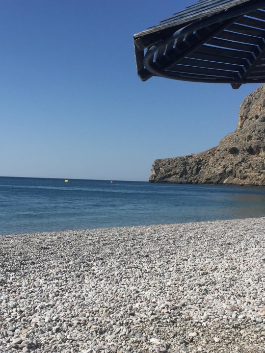 Strand Delfinia Resort