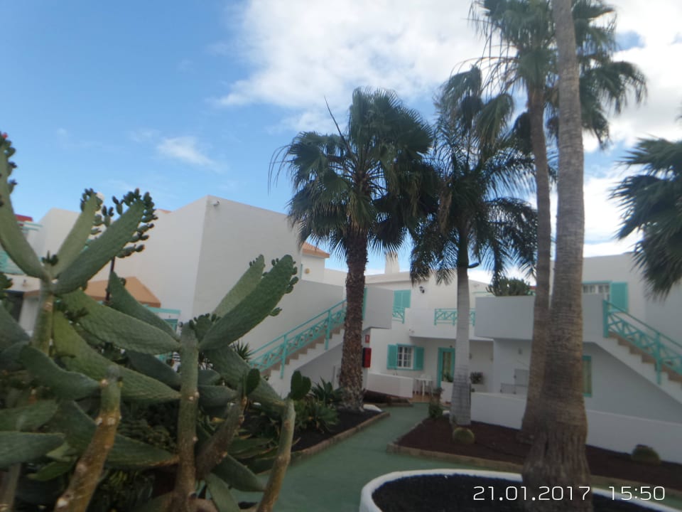 Gartenanlage Smy Tahona Fuerteventura