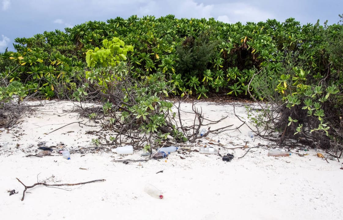 Highlights einer Sandbank beim Ausflug Kuramathi Maldives