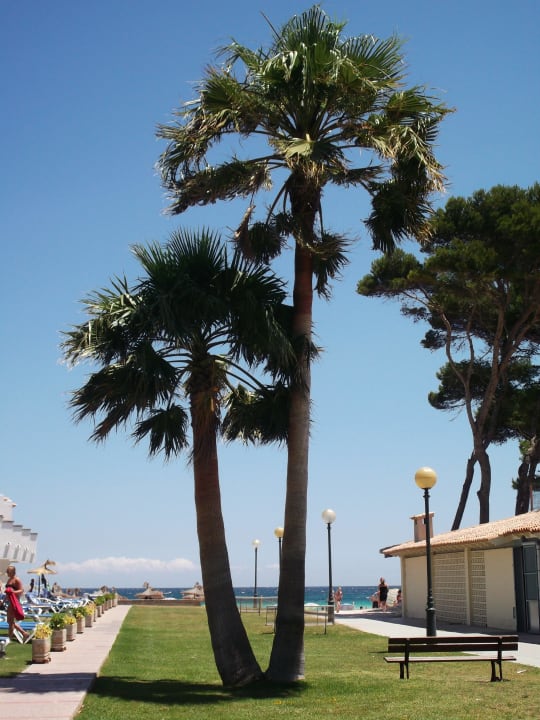 Ausblick Grupotel Los Príncipes Apartments & Spa