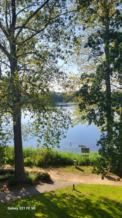 Ausblick See Park Janssen