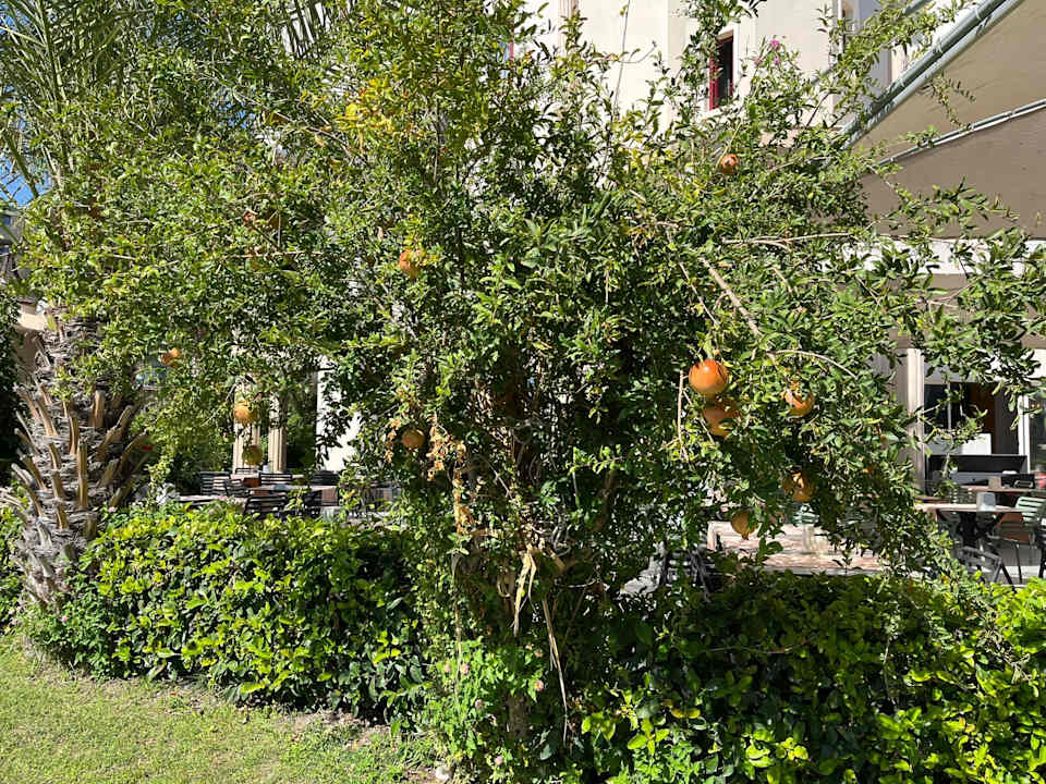 Gartenanlage Bella Resort & Spa