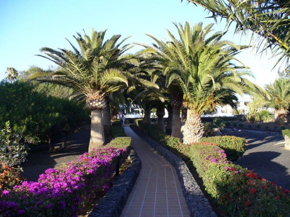 Verbindung von Hotel und Appartements Relaxia Olivina