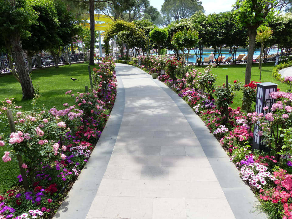 Blumenduft Papillon Ayscha