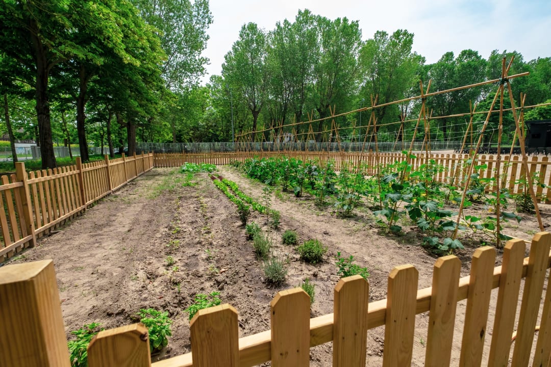 Gartenanlage Color Green Village Cesenatico