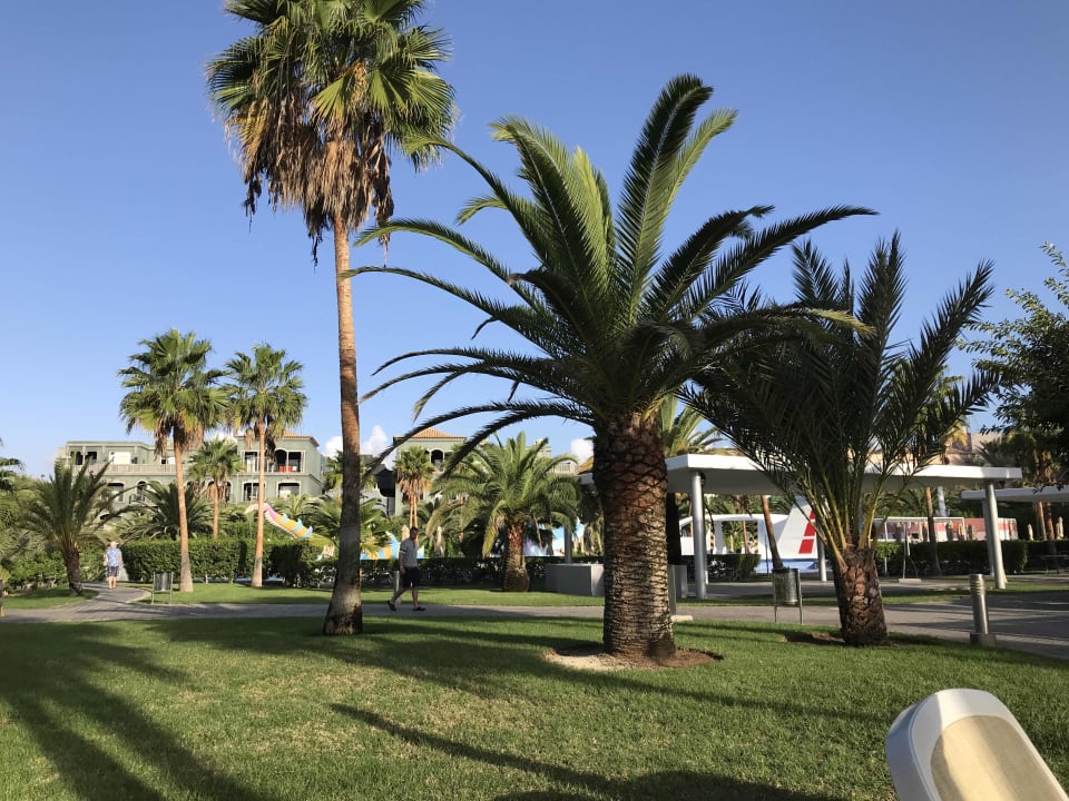 Gartenanlage Hotel Riu Gran Canaria