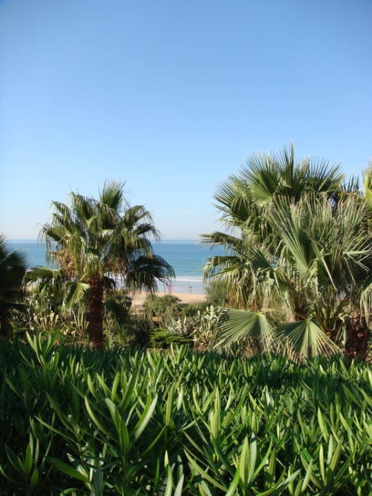 Ausblick vom Garten auf das Meer Fuerte Conil-Resort