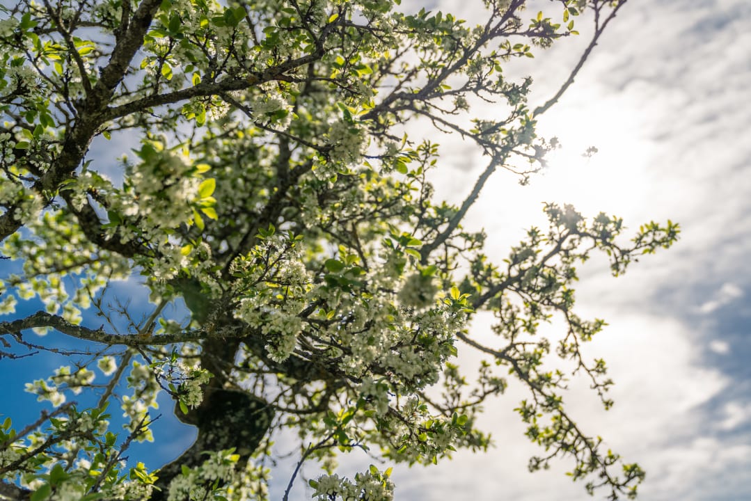 Ausblick Hotel Starchlhof