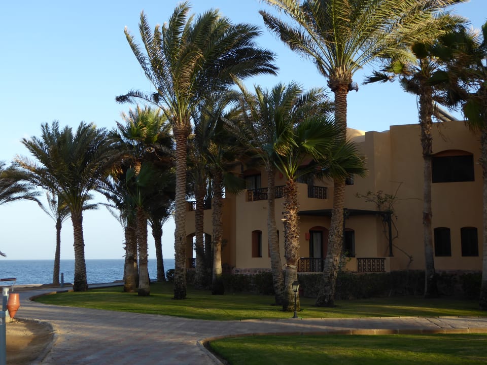 Gartenanlage Steigenberger Coraya Beach - Adults only