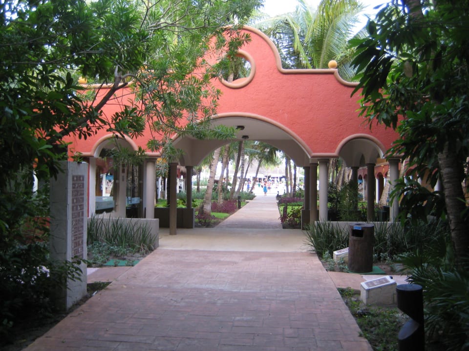 Der Weg Richtung Pool/Strand Catalonia Playa Maroma