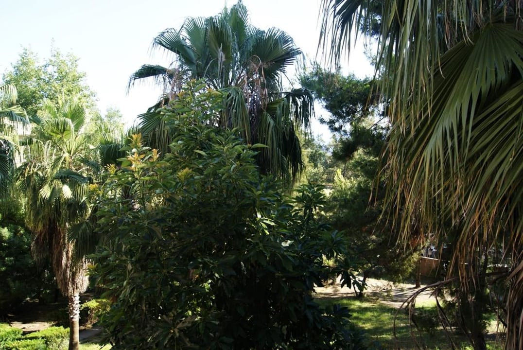 Blick aus dem Zimmer Club Sidelya Hotel