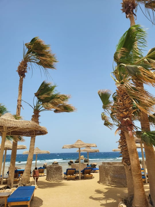 Strand Pickalbatros Citadel Resort