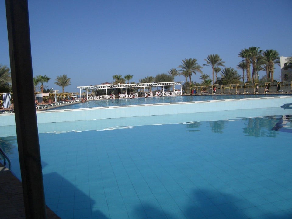 Herrlich großer Pool Arabia Azur Resort