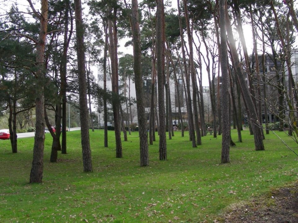 Gartenaussenbereich Novina Hotel Südwestpark
